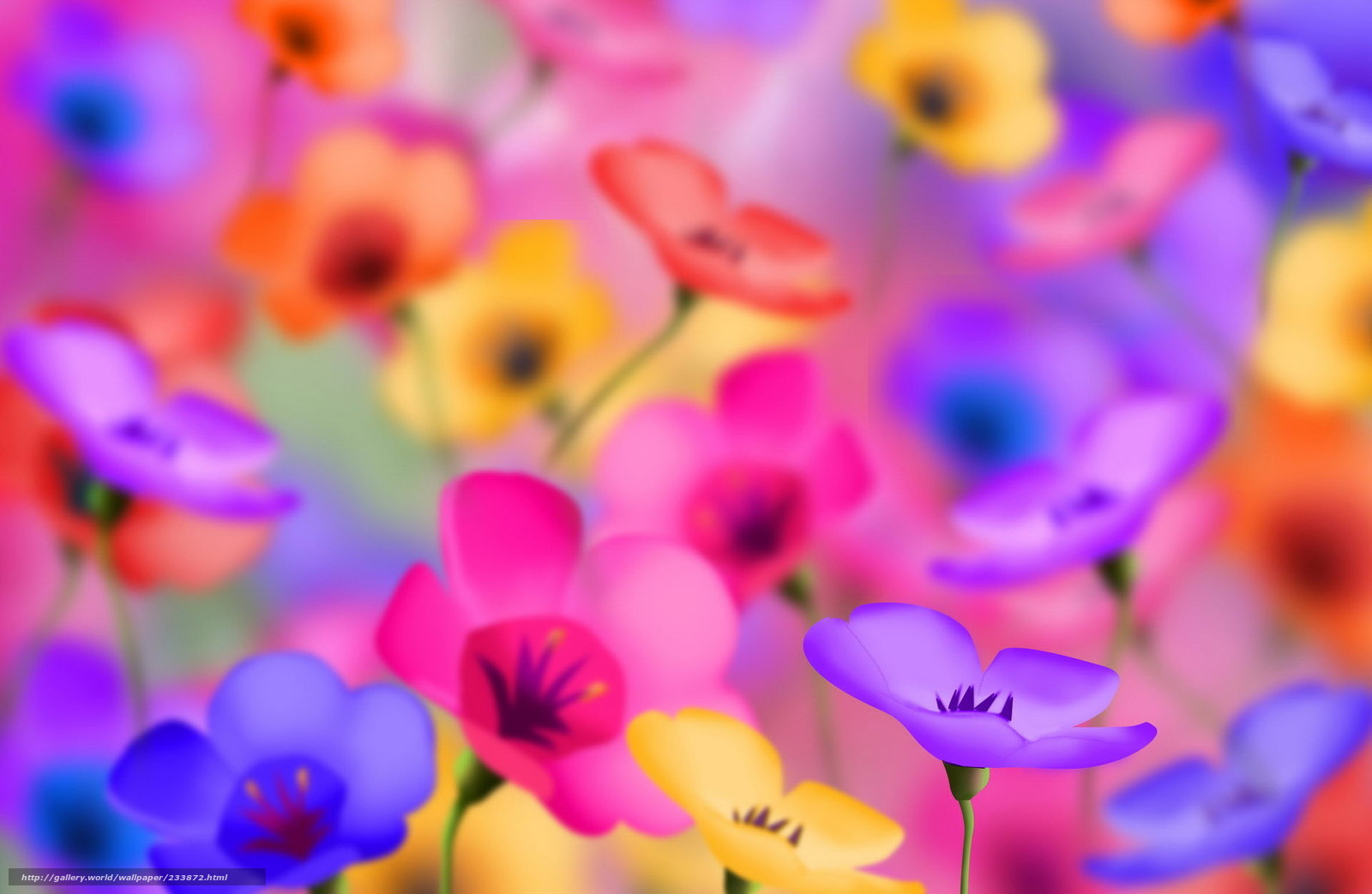 Download Wallpaper Flowers, Color, Brightness Free - 1080p Flower Wallpaper Hd , HD Wallpaper & Backgrounds