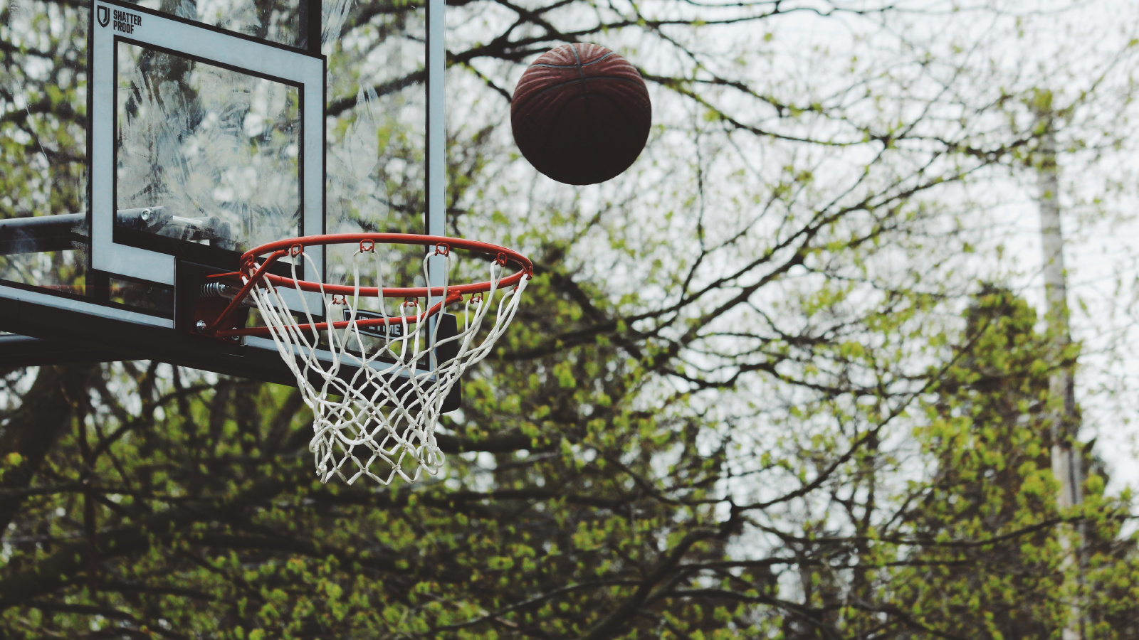 Ball, Streetball, Basketball Moves, Tree, Basketball - Basketball Court , HD Wallpaper & Backgrounds