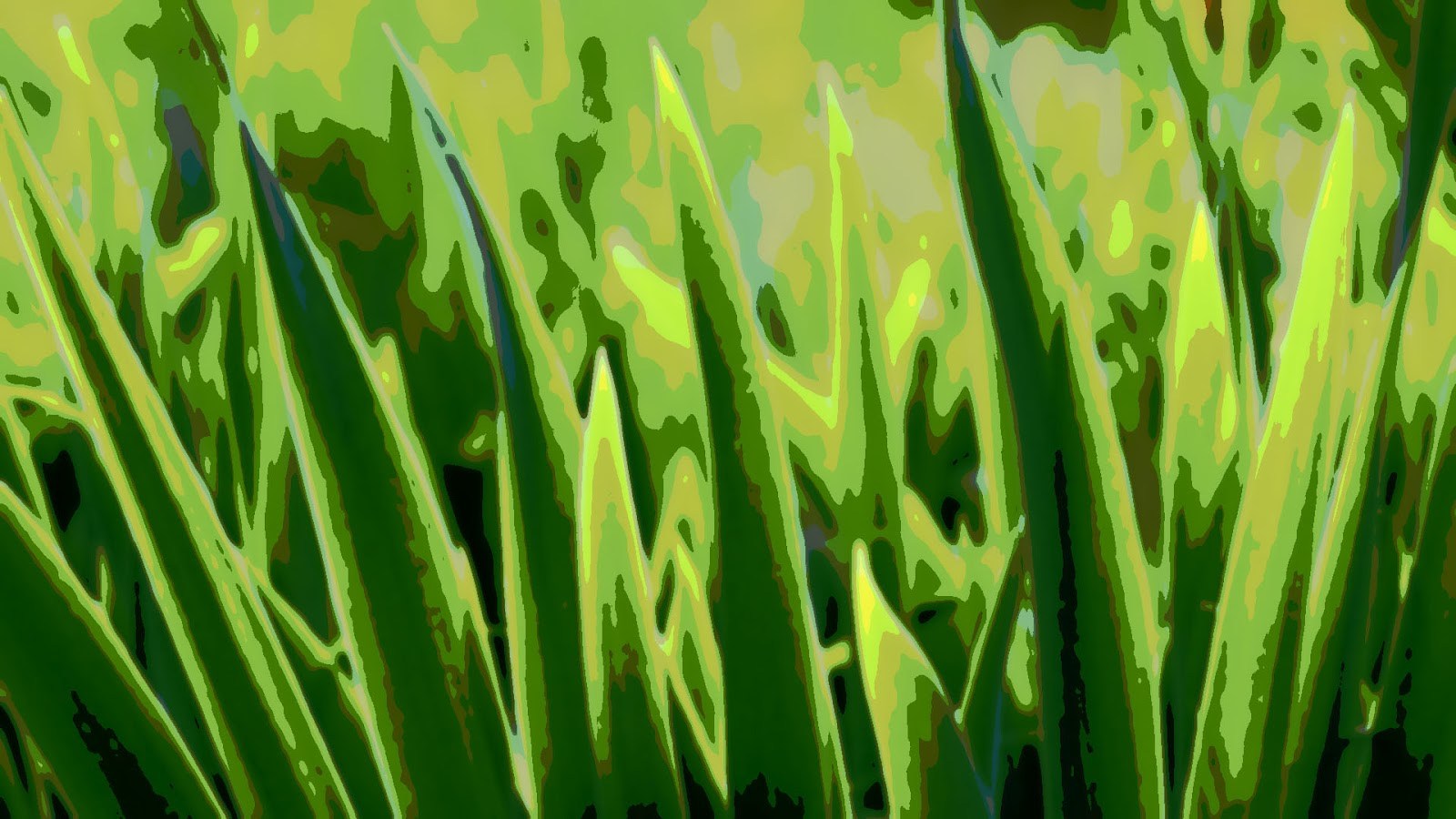 Grass Wallpaper Colors Wallpapersafari - Green Grass Painting , HD Wallpaper & Backgrounds