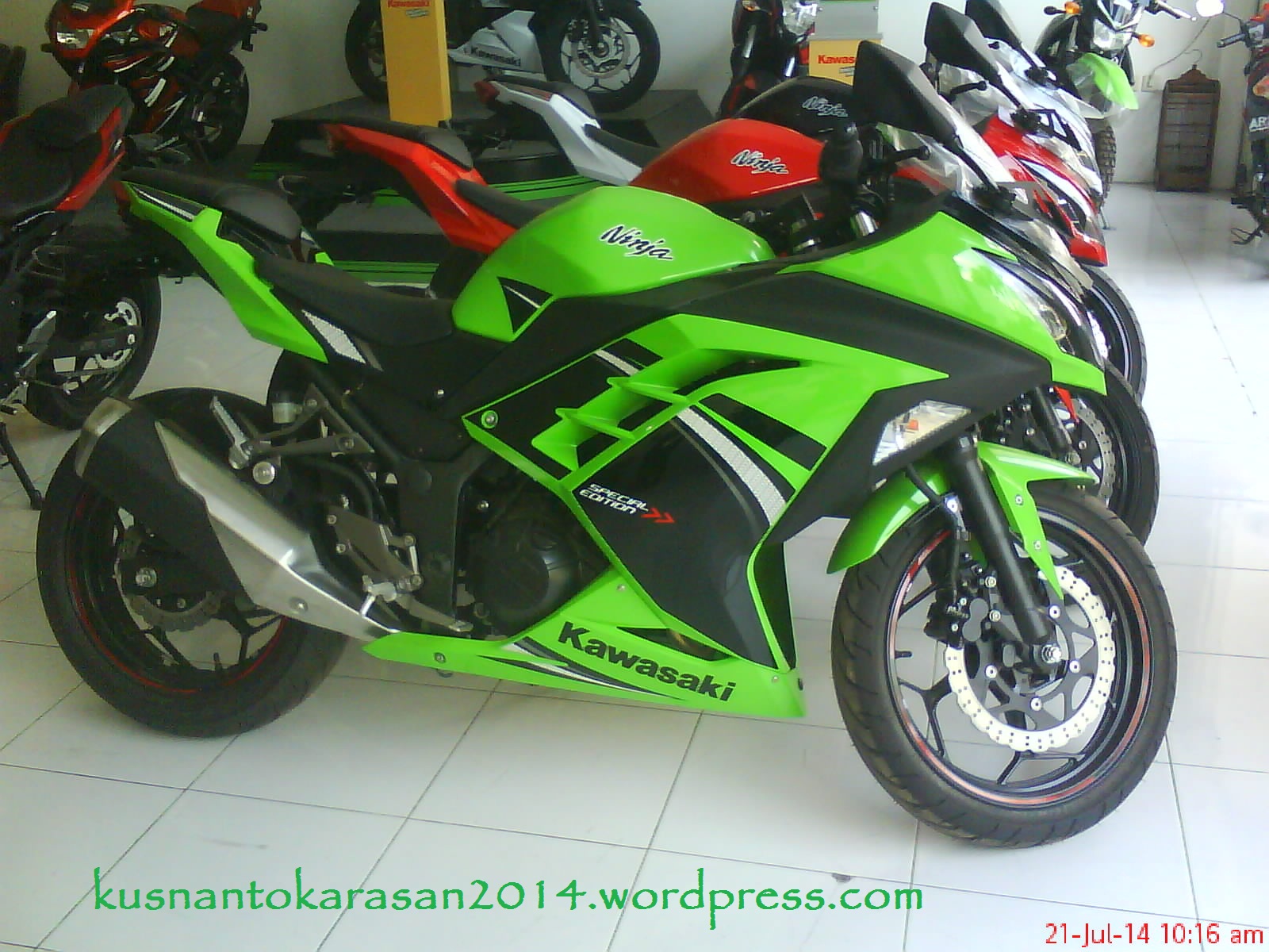 Dsc02728 - Motor Ninja 4 Tak Warna Hijau , HD Wallpaper & Backgrounds