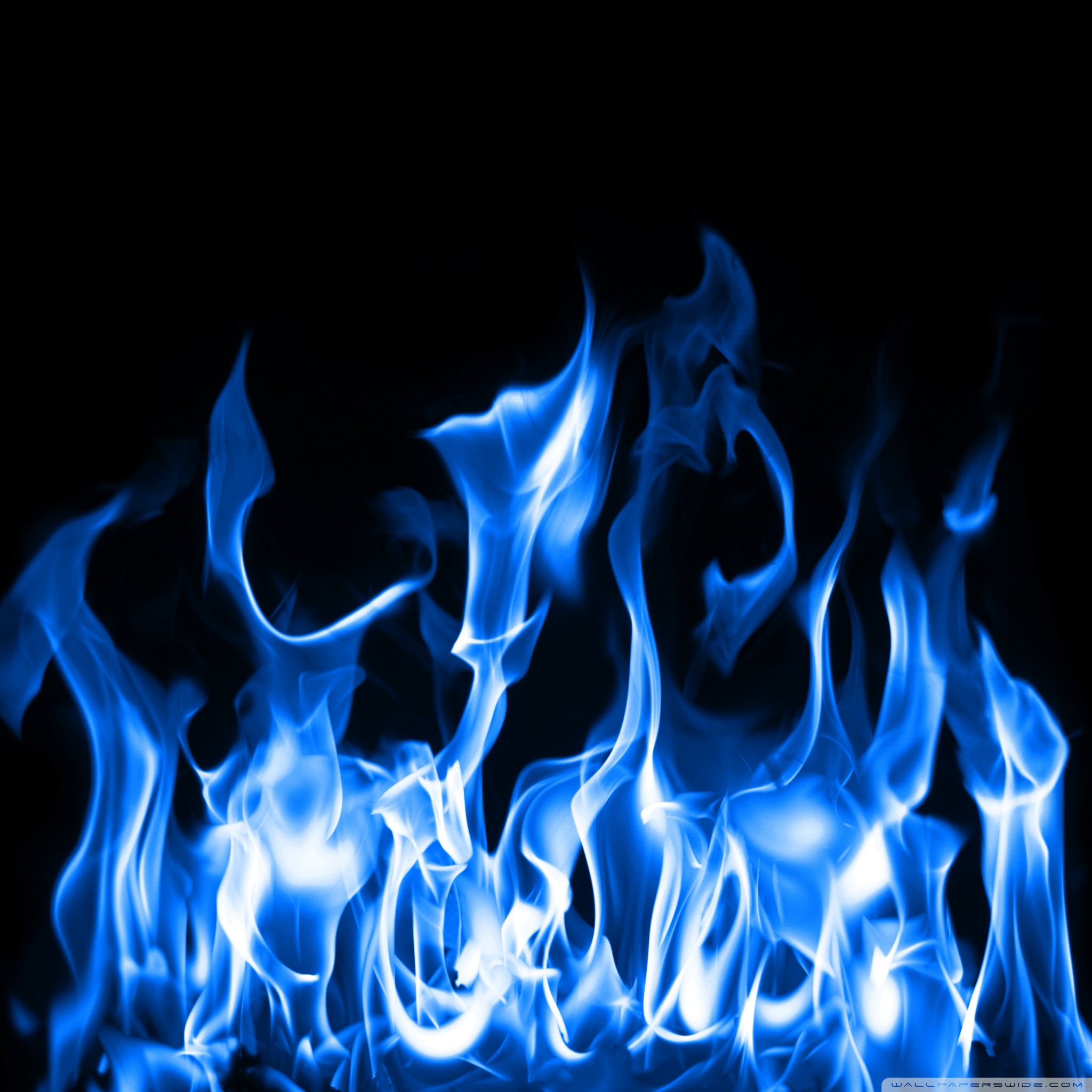 Fire Blue Color , HD Wallpaper & Backgrounds
