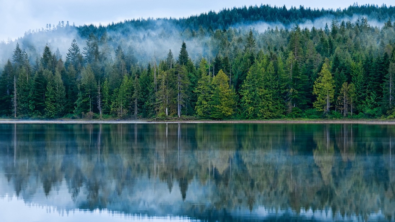 Mist Morning Mountain Fog Lake Forest Wallpapers Switzerland - Lake Minnesota , HD Wallpaper & Backgrounds