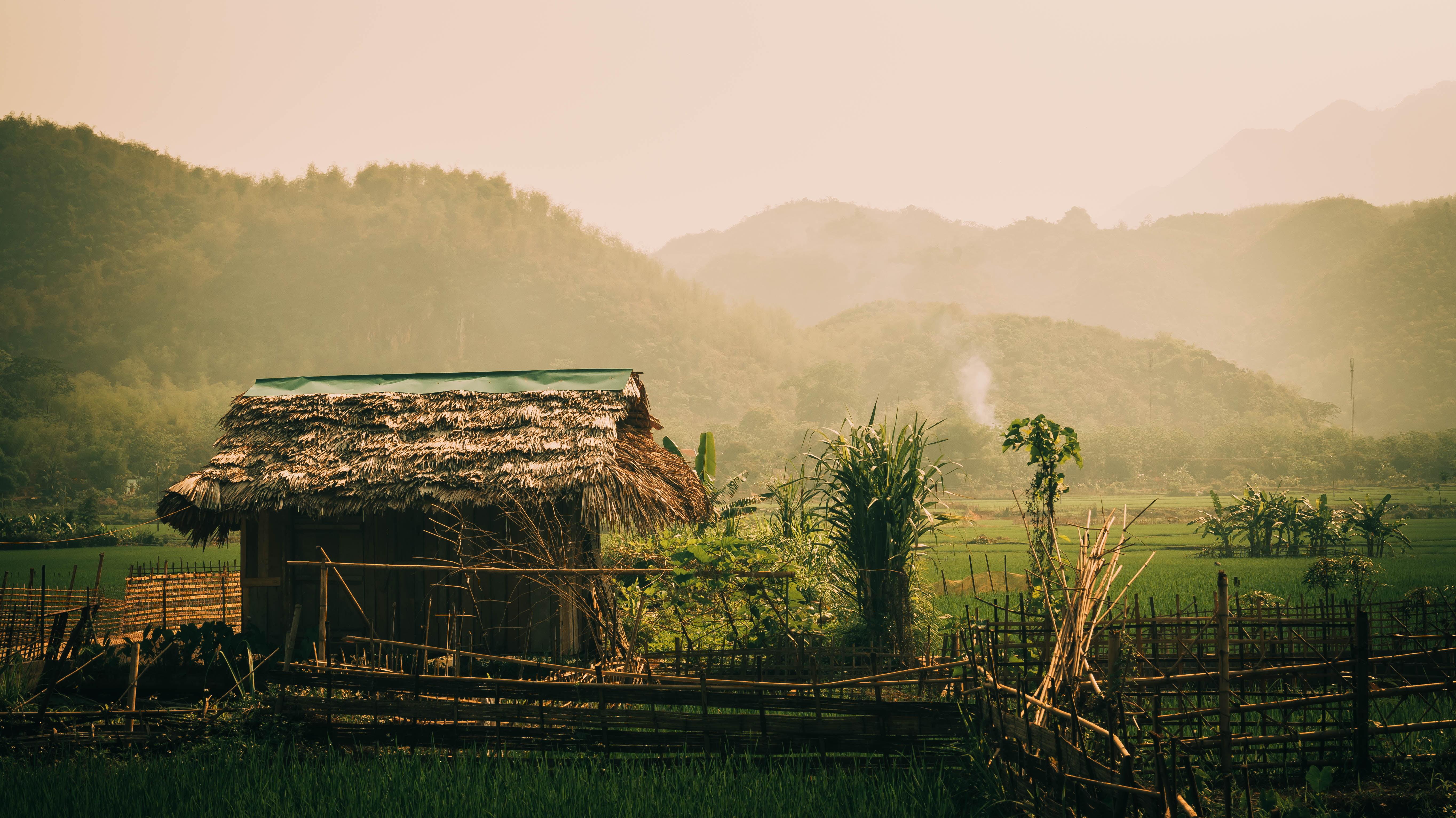 Vietnam Wallpaper Hd - Vietnam , HD Wallpaper & Backgrounds