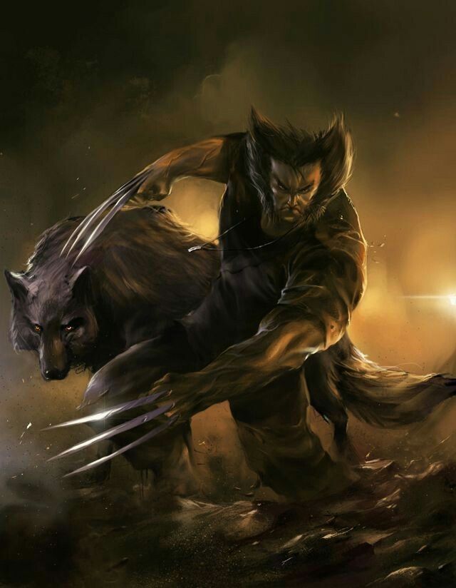 The Wolverine Wallpaper , HD Wallpaper & Backgrounds