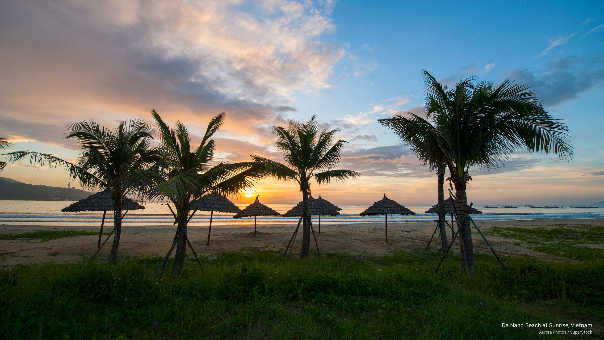 Da Nang Beach At Sunrise, Vietnam, Asia - Attalea Speciosa , HD Wallpaper & Backgrounds