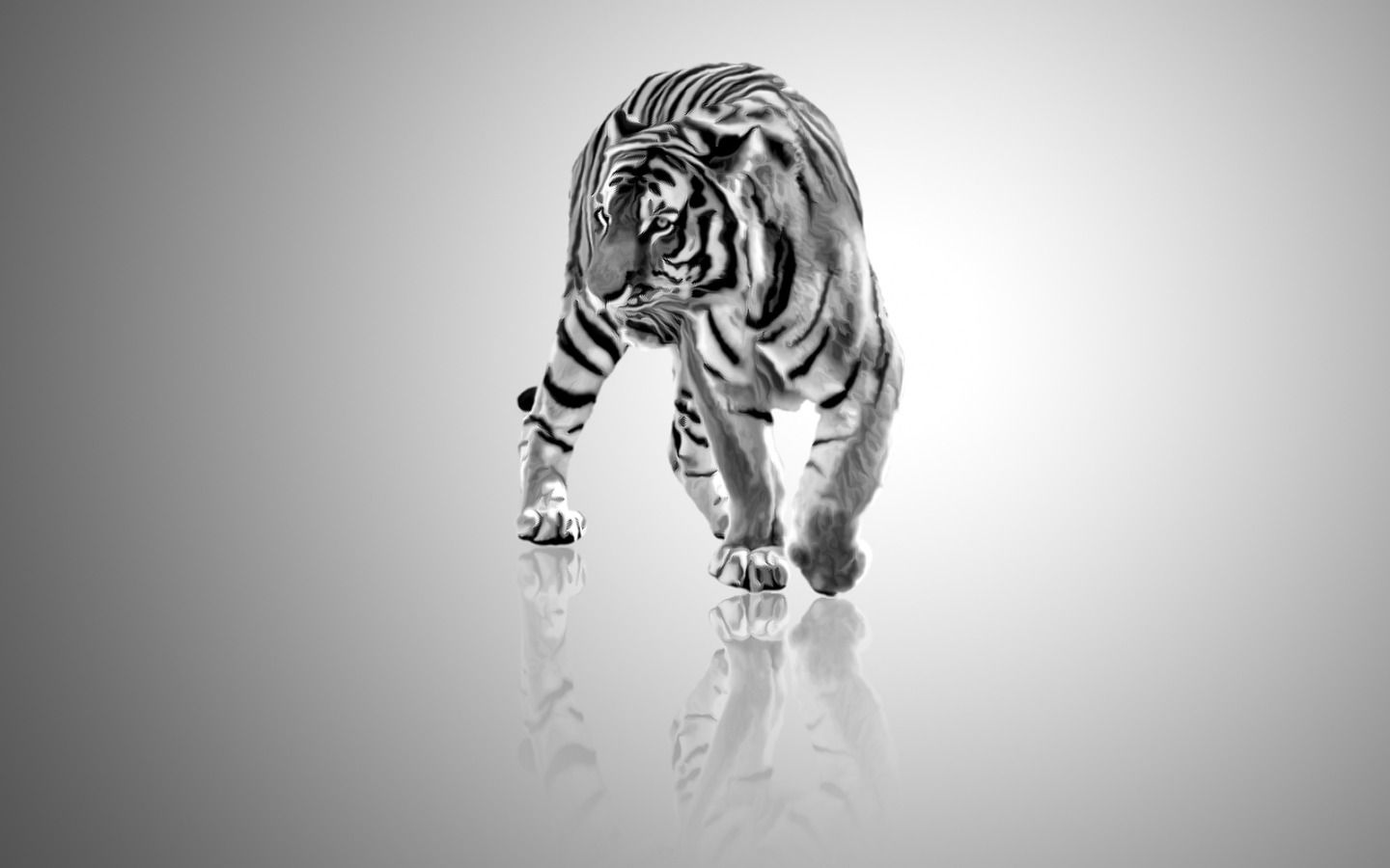 White, Full, Wallpaper, Hd - High Definition Black And White Tiger , HD Wallpaper & Backgrounds