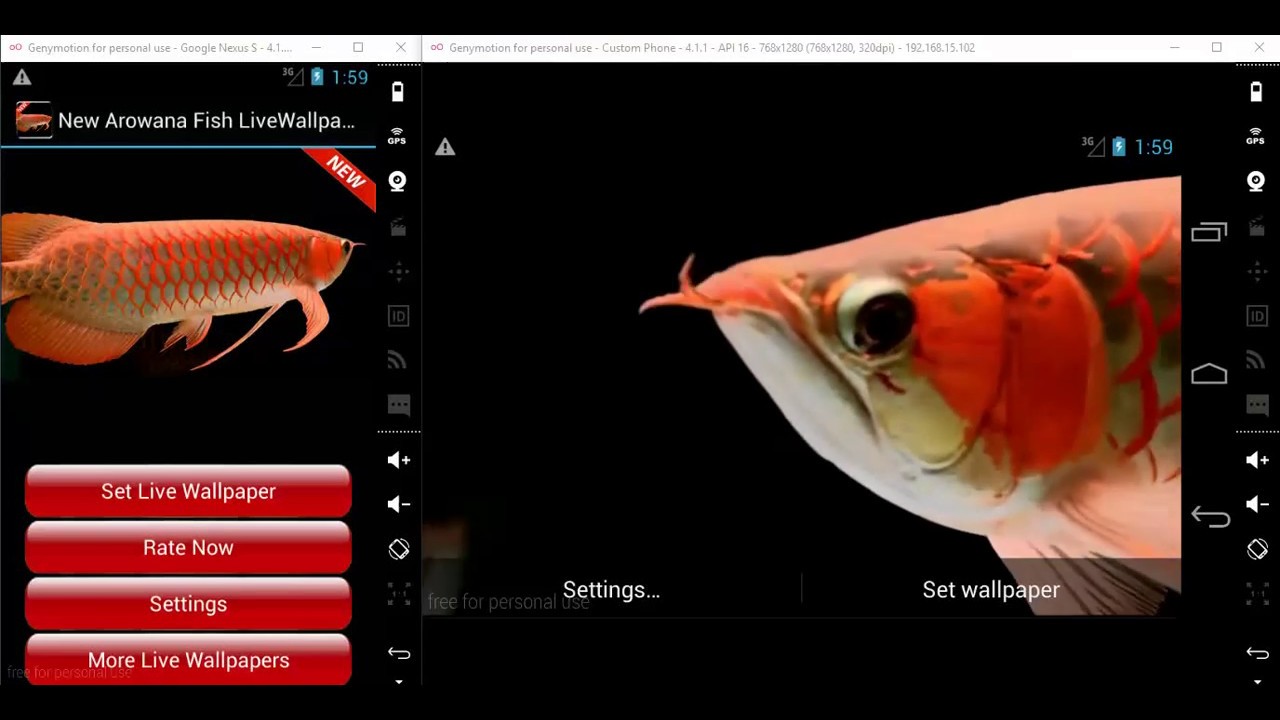 New Arowana 3d Live Wallpaper - Marine Biology , HD Wallpaper & Backgrounds