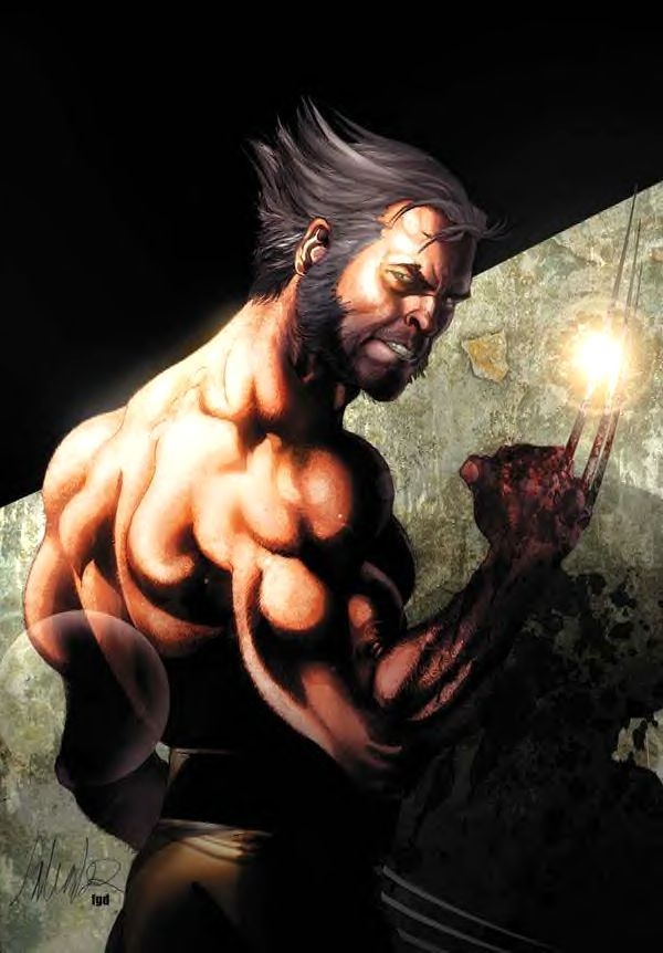 Wolverine High Resolution Wallpapers For Pc & Mac, - Wolverine Weapon X , HD Wallpaper & Backgrounds