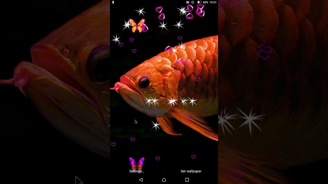 3d Arowana Live Wallpaper - Goldfish , HD Wallpaper & Backgrounds