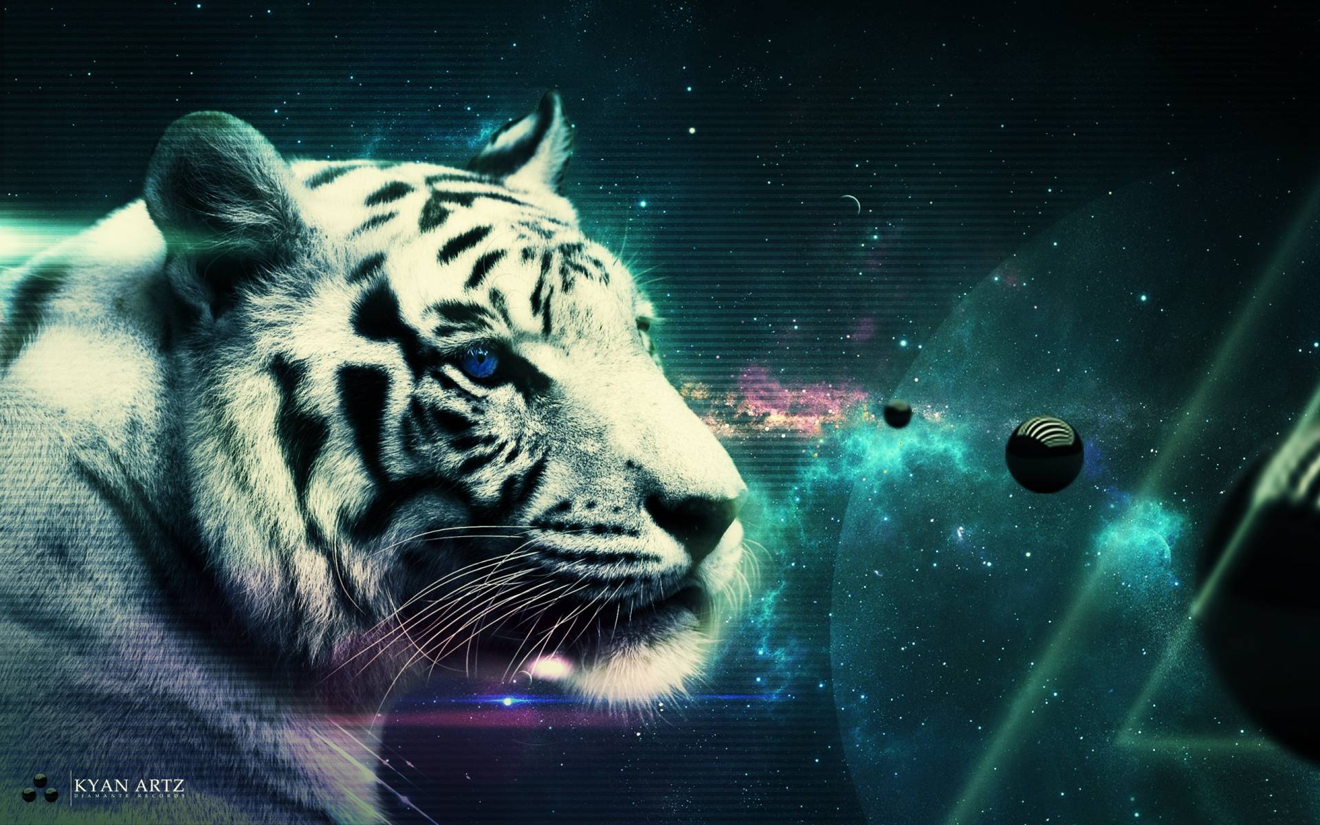 <b>3d Tiger</b> Live <b>wallpaper Download< - White Tiger In Space , HD Wallpaper & Backgrounds