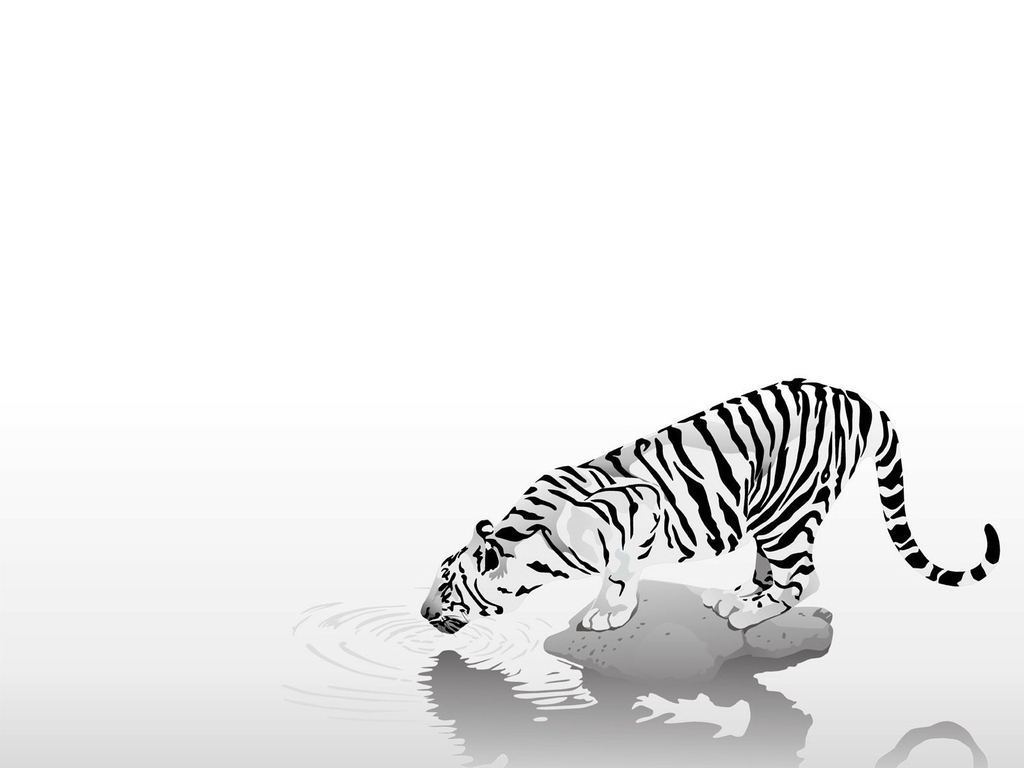 Cloud - Black And White Tiger Drinking Water , HD Wallpaper & Backgrounds