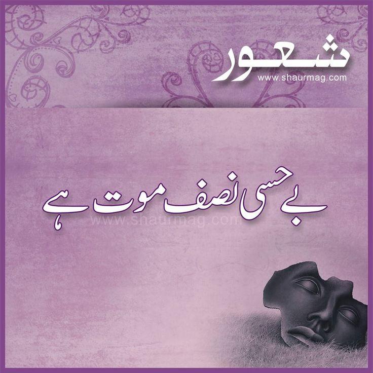 262 Best Aqwal E Zareen Images On Pinterest Urdu Poetry - Shaur Mag , HD Wallpaper & Backgrounds