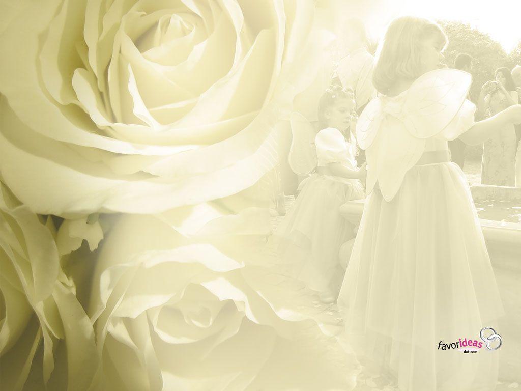 Wedding Backgrounds - Wedding Photo Book Backgrounds , HD Wallpaper & Backgrounds