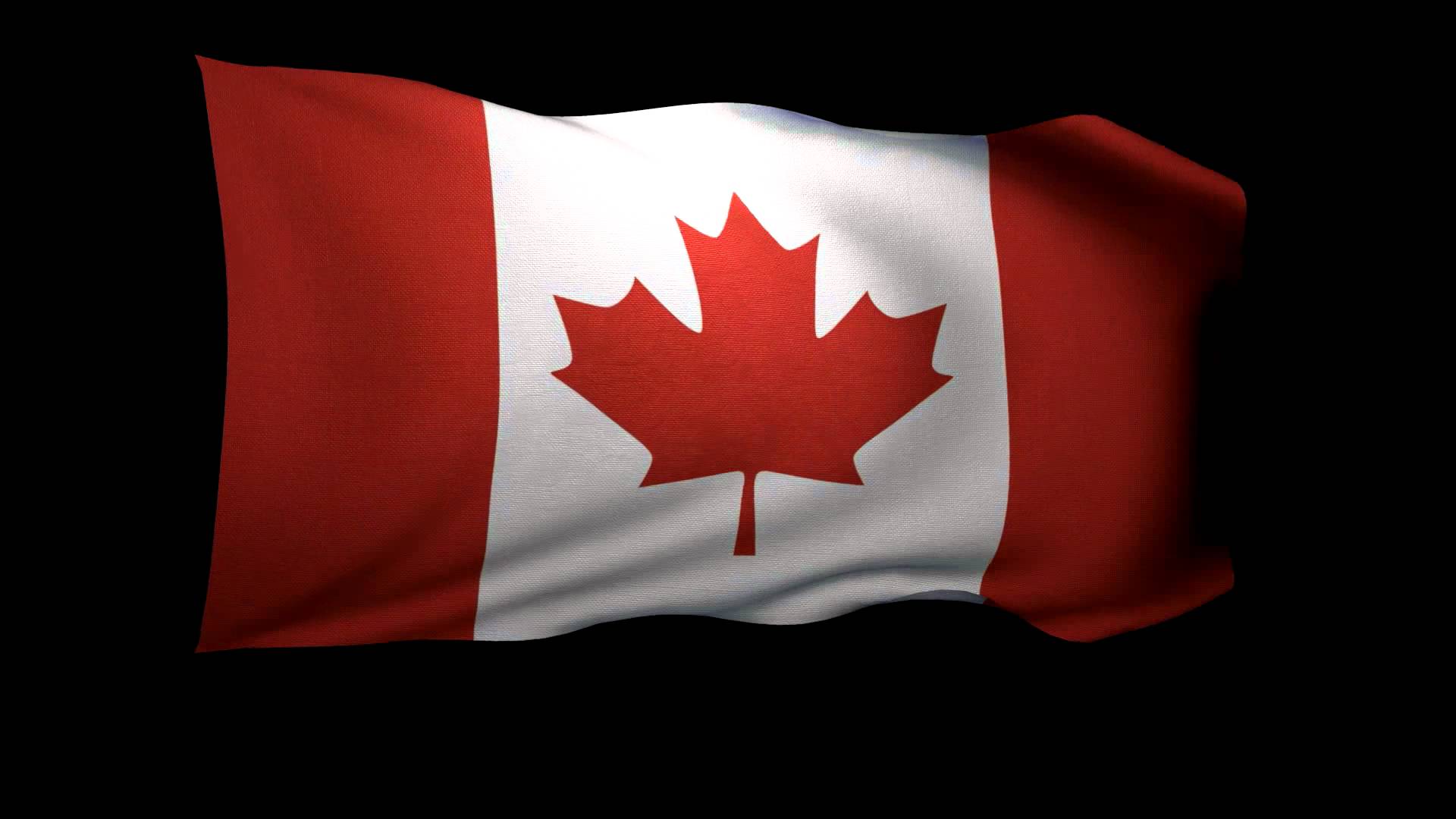 Displaying 18 Images For Canadian Flag Waving Gif - Canada Flag Cartoon Waving , HD Wallpaper & Backgrounds