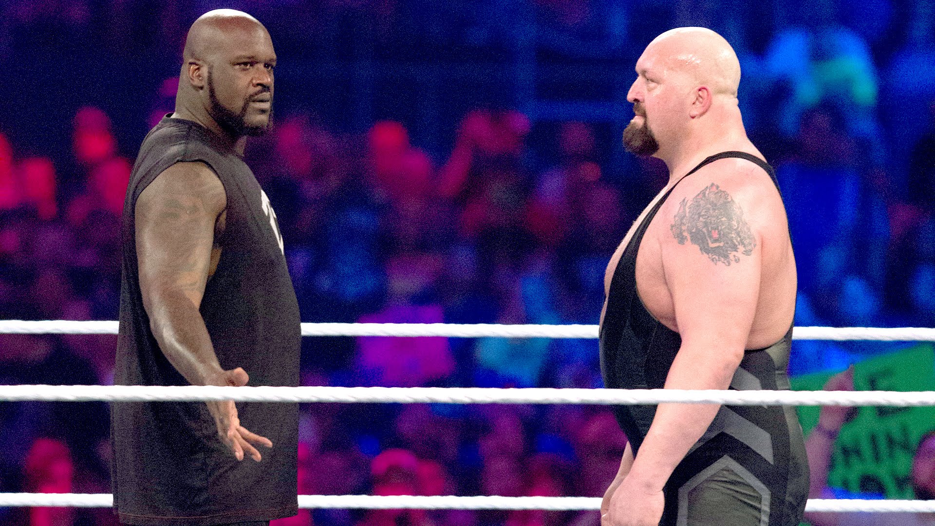 Big Show Has Been Wrestling For Over 20 Years Now, - Shaq Big Show , HD Wallpaper & Backgrounds