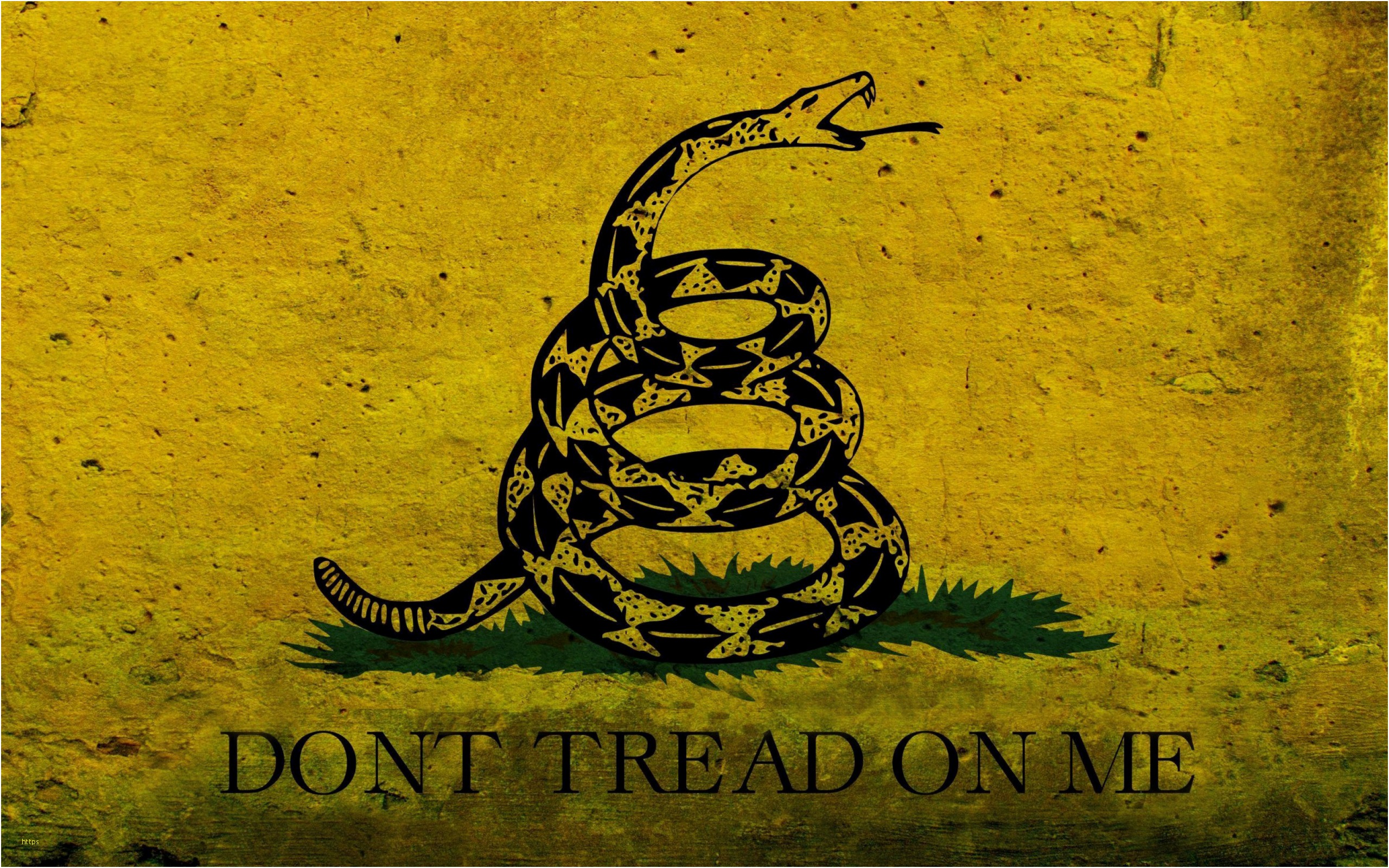 Fresh Don T Tread On Me Wallpaper - Dont Tread On Me Flag Hd , HD Wallpaper & Backgrounds