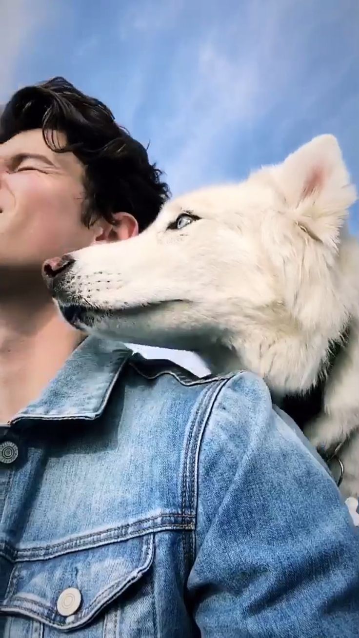 14 Photos That Will Inspire You To Travel - Shawn Mendes With Animals , HD Wallpaper & Backgrounds