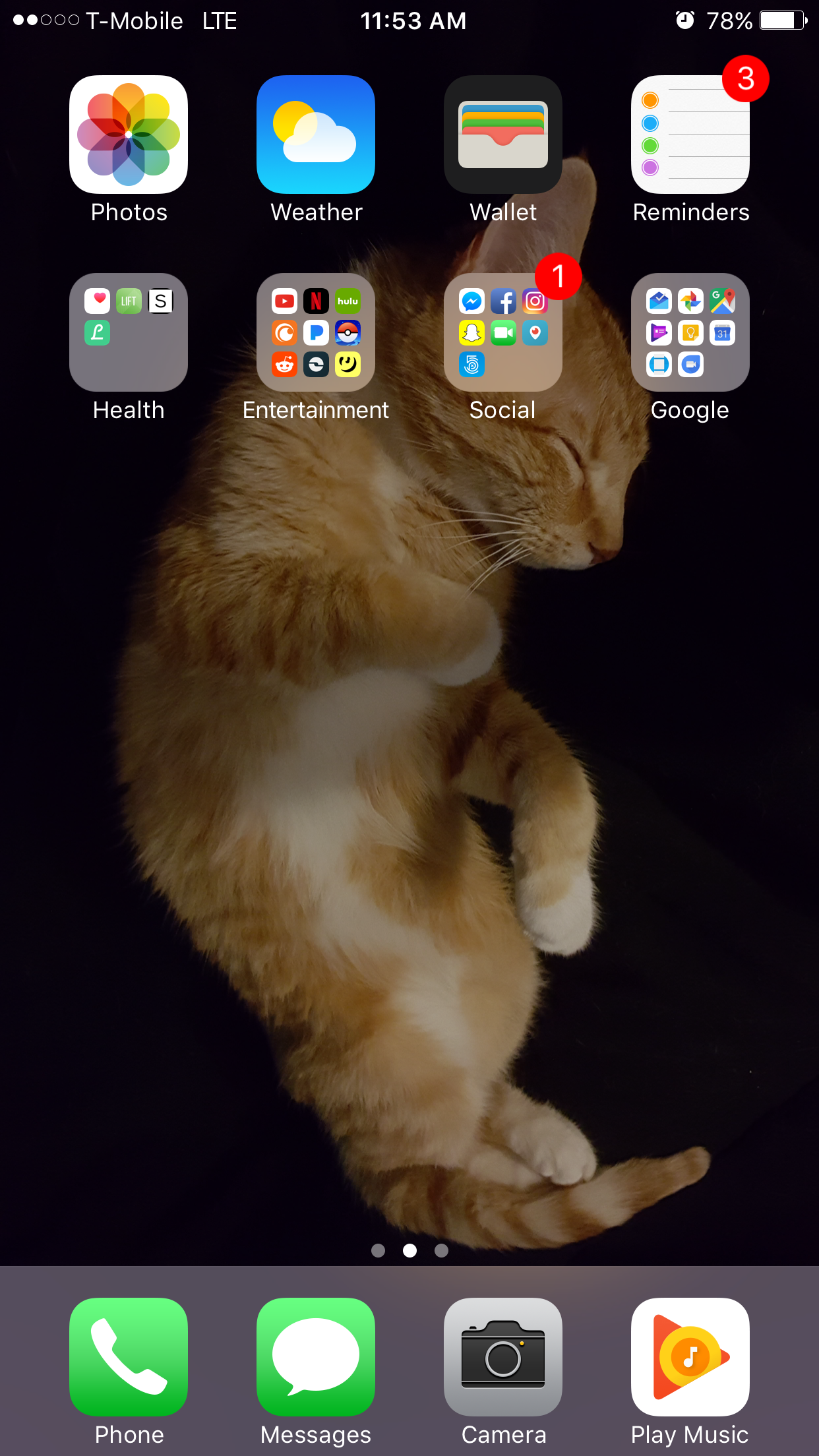 Iphone 7 Home Screen With My Cat As Wallpaper Album - Organizing Phone By Color , HD Wallpaper & Backgrounds