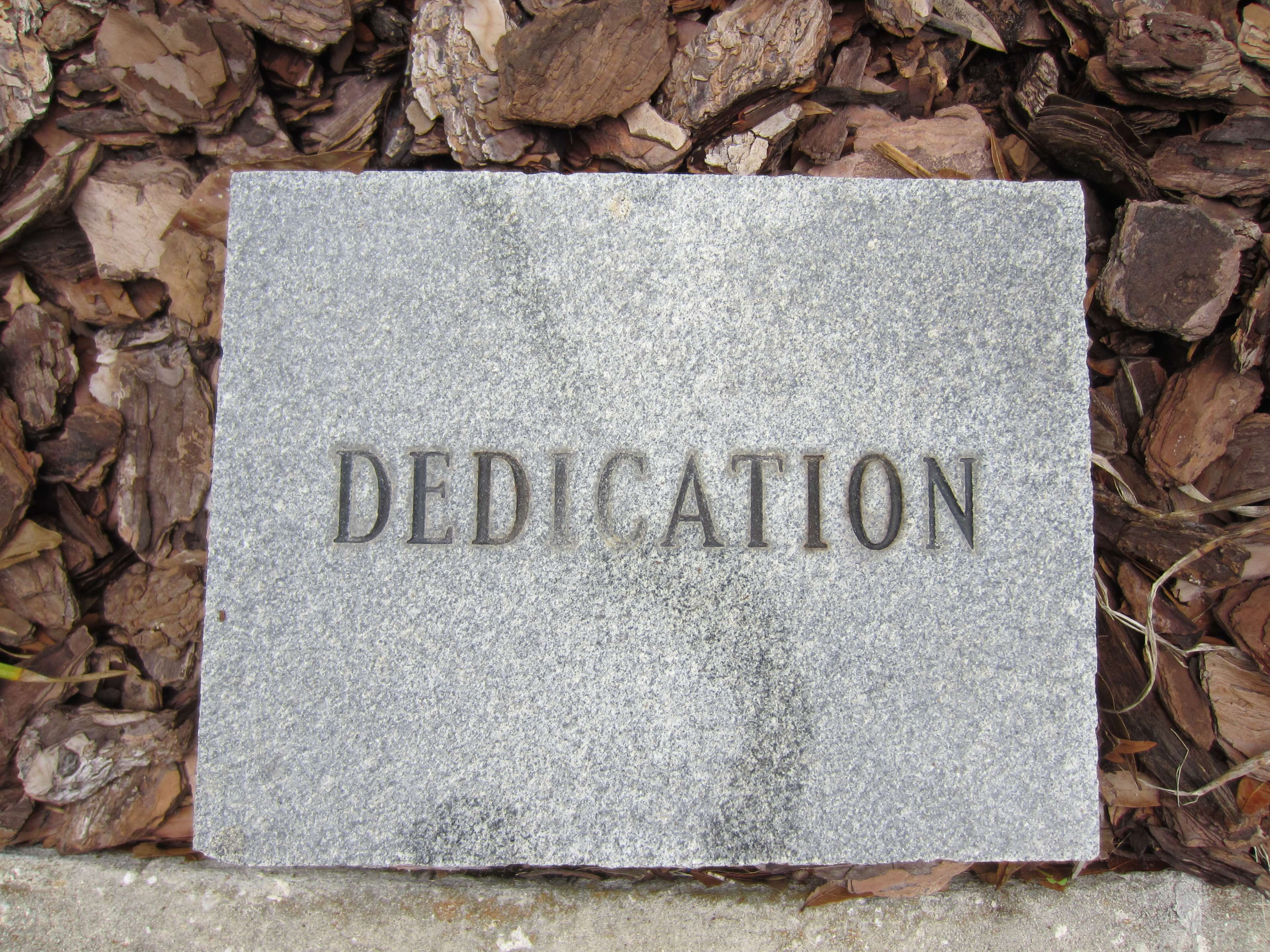 Dedication, Gray, Griggio, Incisione, Inscription, - Concrete , HD Wallpaper & Backgrounds