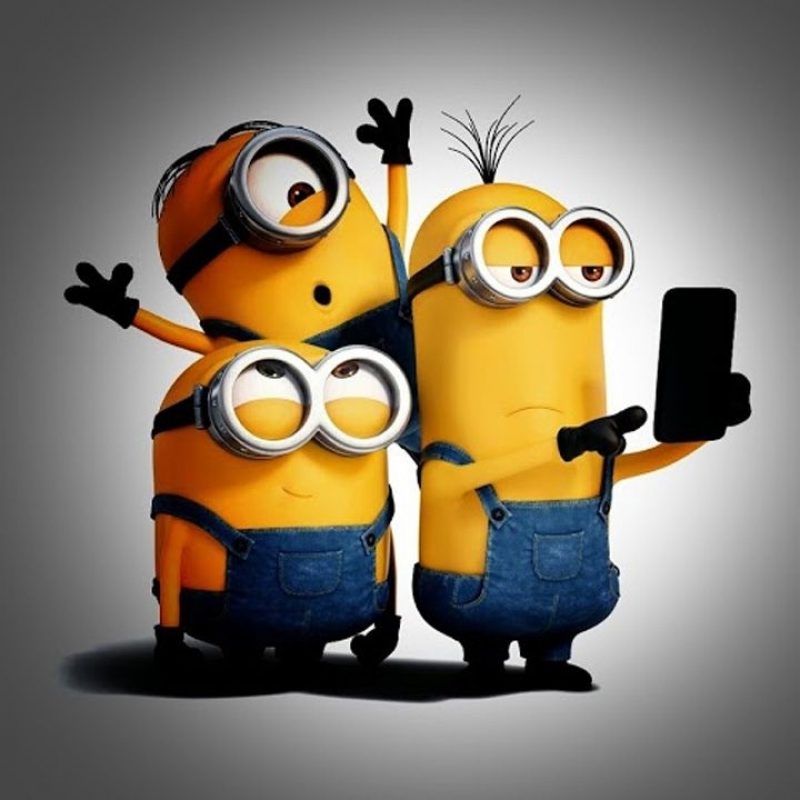 10 New Minion Wallpaper For Android Full Hd 1920×1080 - Minions Cute , HD Wallpaper & Backgrounds