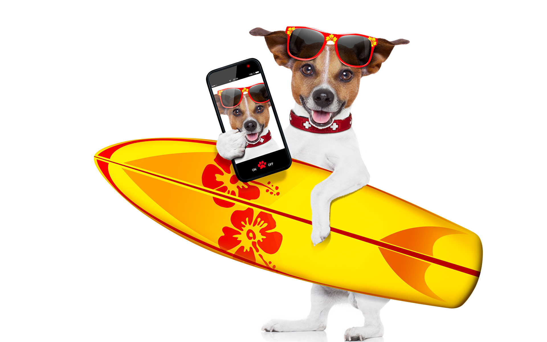 1920 X - Dog Surfing Cartoon No White Background , HD Wallpaper & Backgrounds