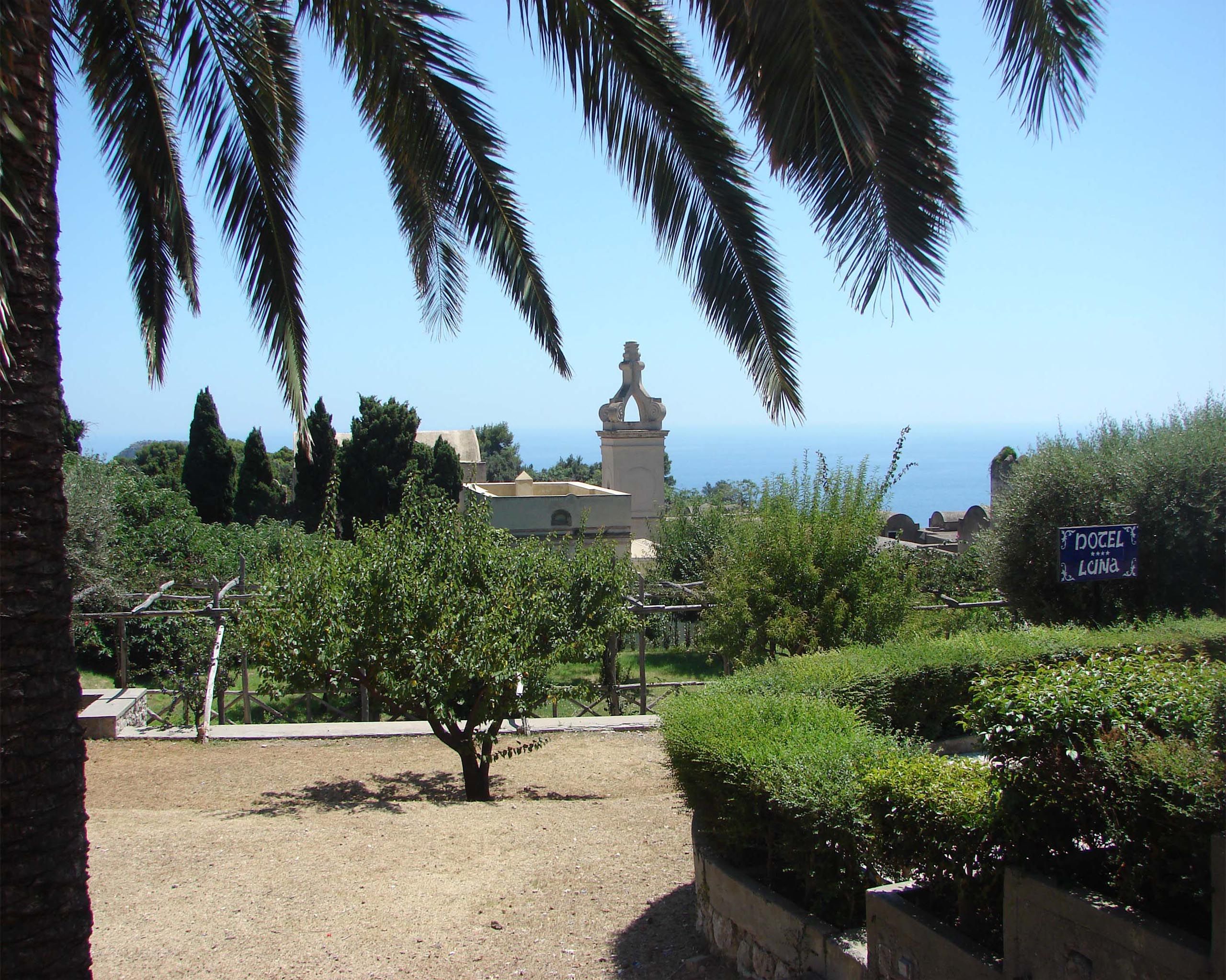 Park On An Island Of Capri - Attalea Speciosa , HD Wallpaper & Backgrounds