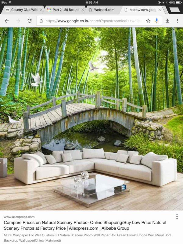 Wallpaper - Forest Themed Living Room Ideas , HD Wallpaper & Backgrounds