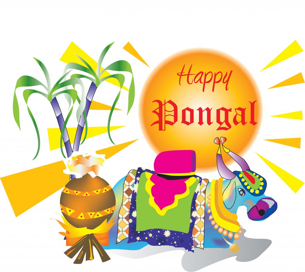 Pongal Wallpaper - Happy Pongal Images 2019 , HD Wallpaper & Backgrounds
