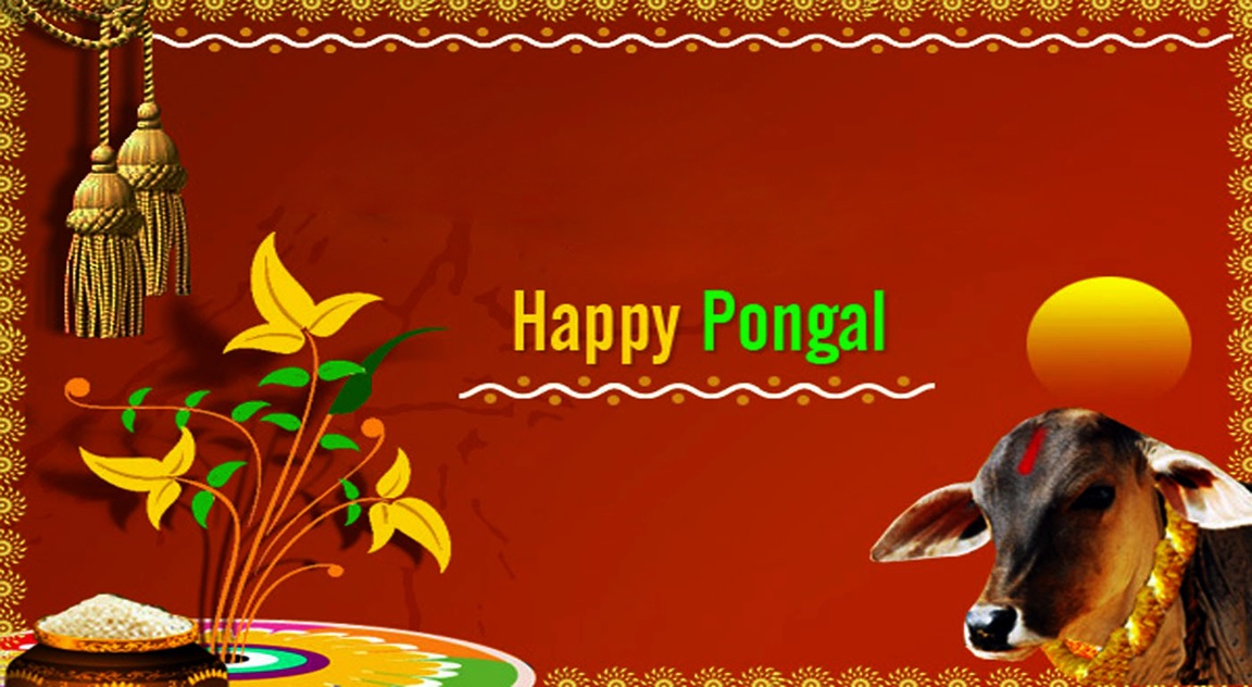 Pongal Whatsapp Dp - Happy Pongal Wishes Diy , HD Wallpaper & Backgrounds