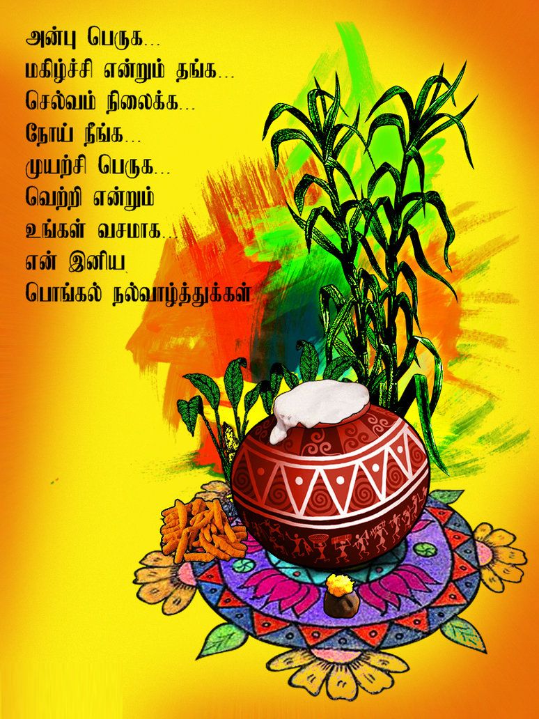 Tamil Pongal Wallpapers Hd Images Dp Profile Pictures - Happy Pongal Images In Tamil , HD Wallpaper & Backgrounds
