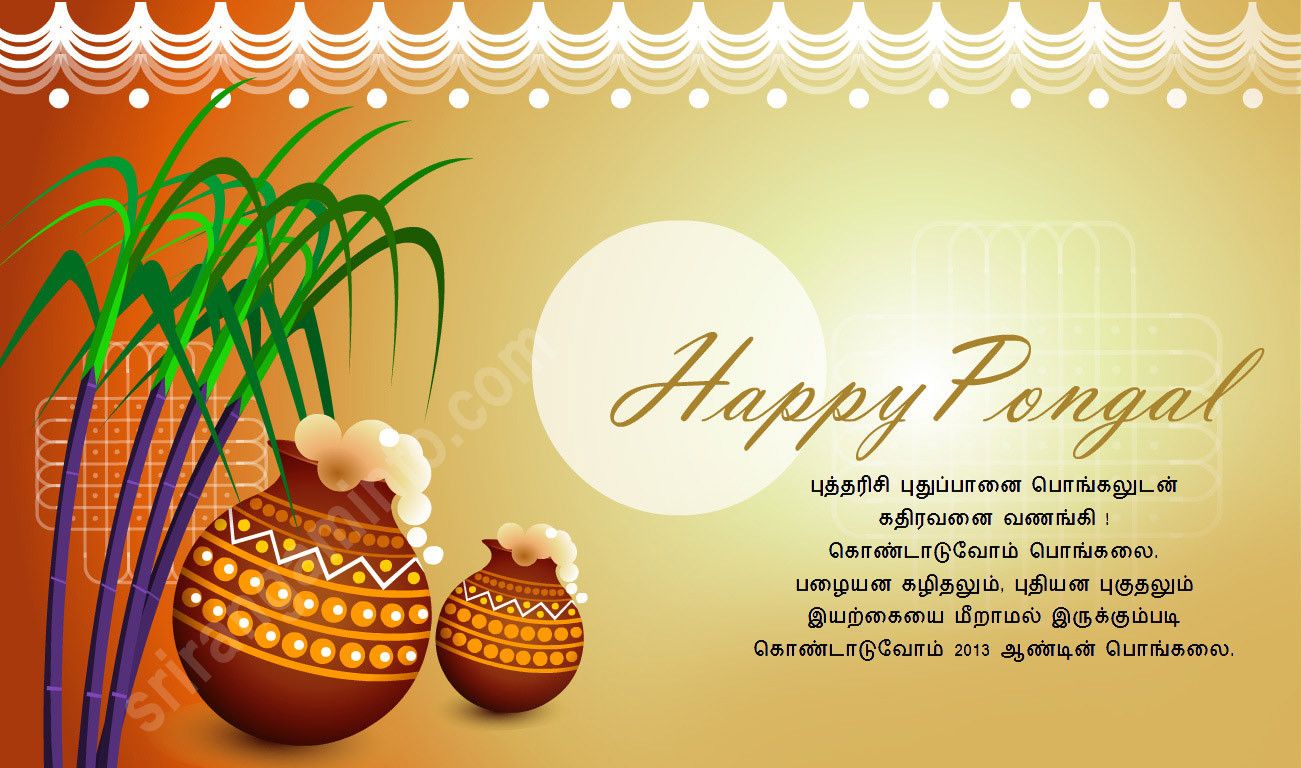 Pongal Greetings Http - Thai Pongal Wishes , HD Wallpaper & Backgrounds