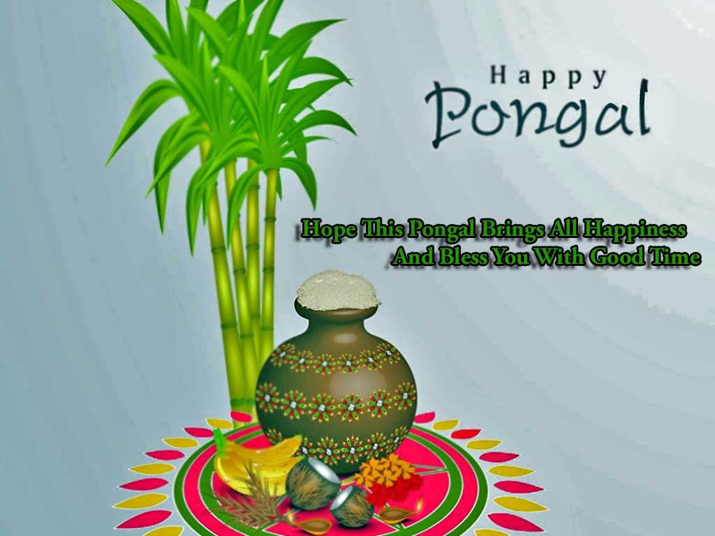 Happy Pongal Wishes 2019 , HD Wallpaper & Backgrounds