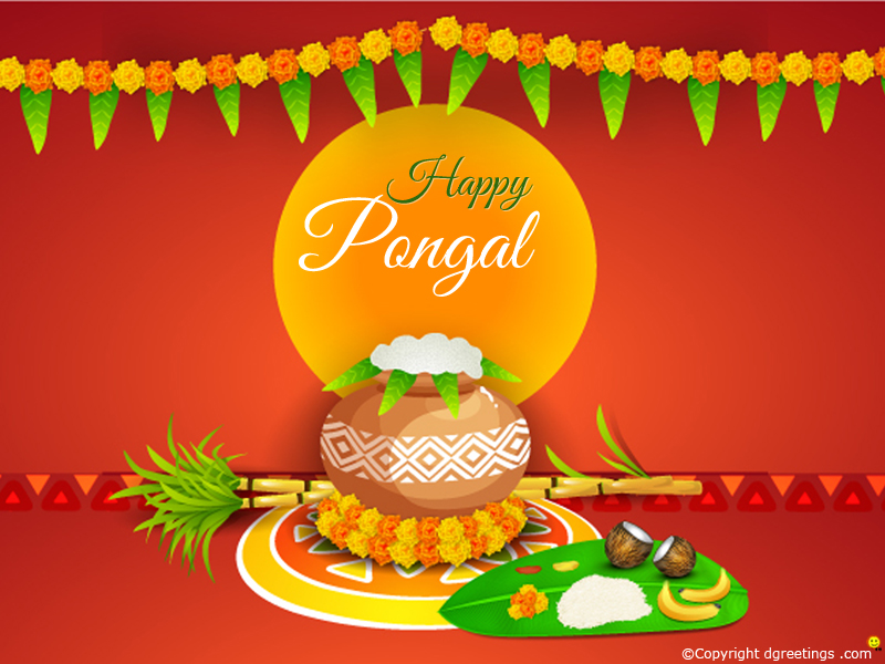 Pongal Wallpapers - Pongal Sale , HD Wallpaper & Backgrounds