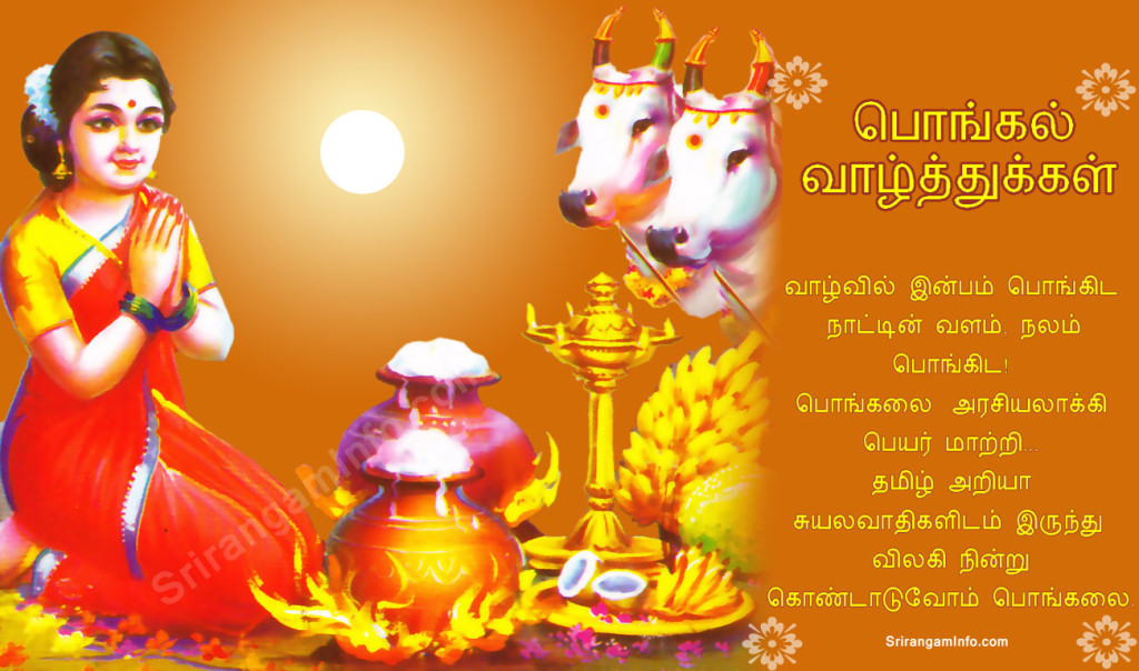 Pongal Festival Whatsapp Images - Happy Pongal Images Tamil , HD Wallpaper & Backgrounds