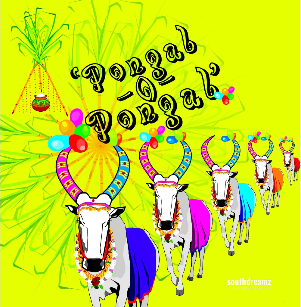 Pongal Festival Images Wallpapers - Mattu Pongal Wishes In Tamil , HD Wallpaper & Backgrounds