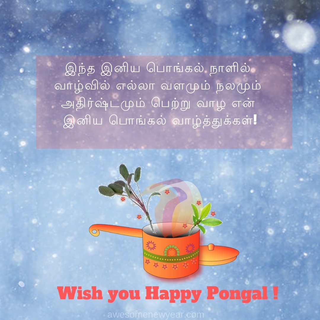 Pongal Wishes In Tamil - Greeting Card , HD Wallpaper & Backgrounds