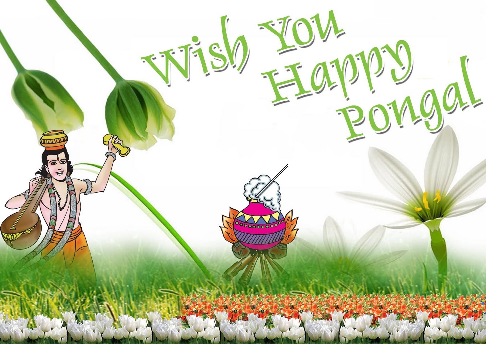 Pongal Images Hd - Wish You Happy Pongal , HD Wallpaper & Backgrounds