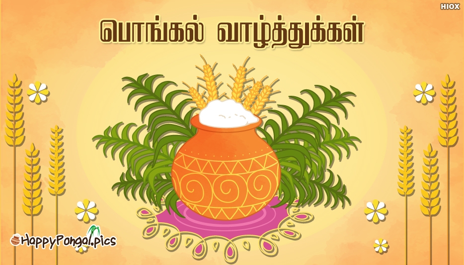 Pongal Wishes In Tamil Font @ Happypongal - Happy Pongal 2019 , HD Wallpaper & Backgrounds