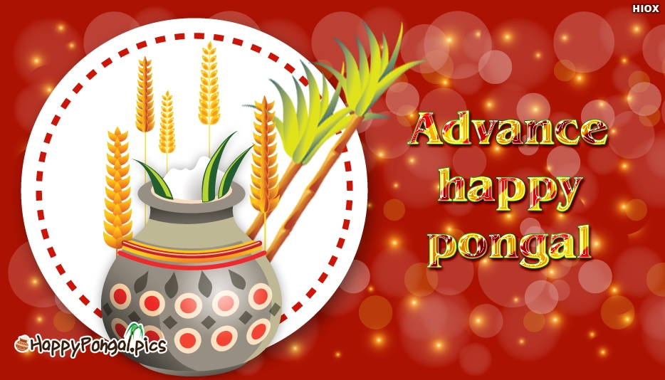 Happy Pongal Wallpapers - Different Advance Happy Pongal , HD Wallpaper & Backgrounds