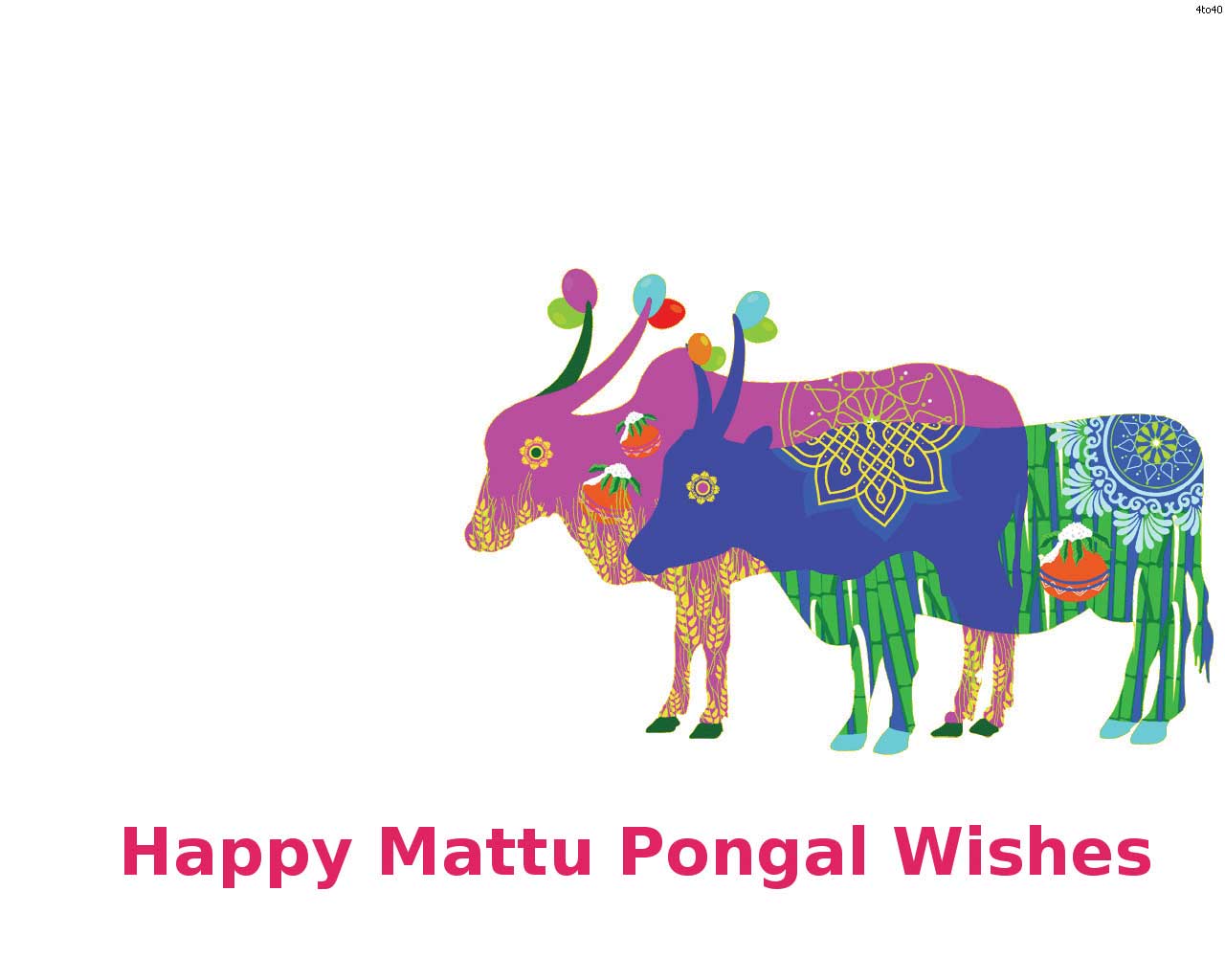 Simple And Latest Collections Of Mattu Pongal Wishes,greeting - Happy Mattu Pongal 2019 , HD Wallpaper & Backgrounds