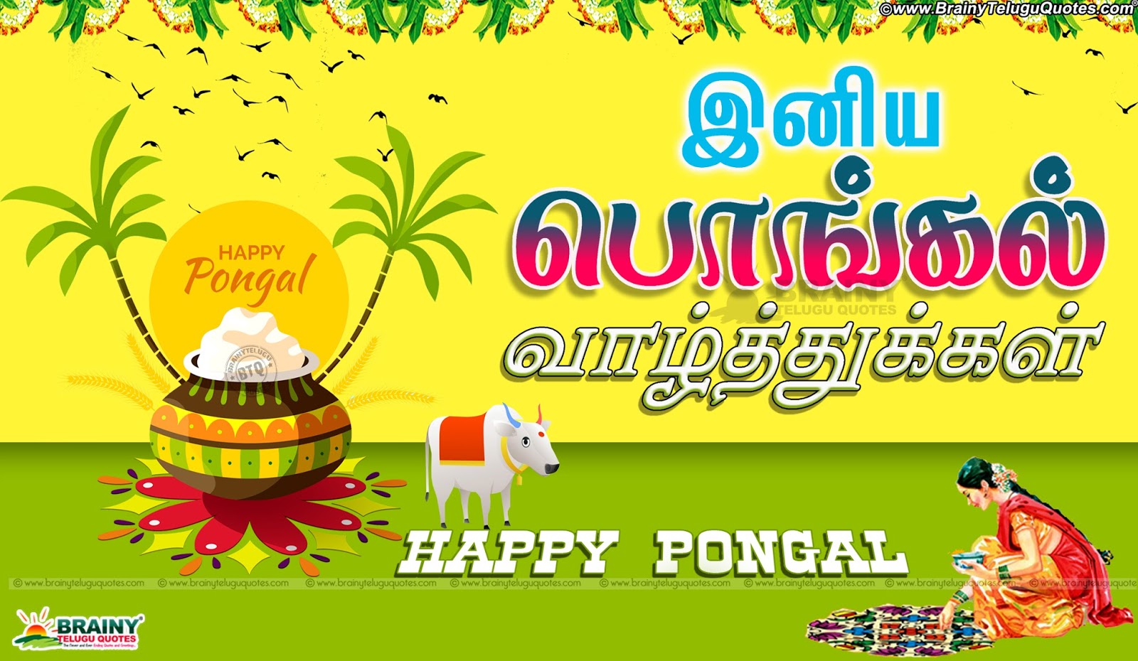 Tamil Pongal Festival Wishes Quotes Hd Wallpapers-pongal - Happy Pongal 2019 , HD Wallpaper & Backgrounds