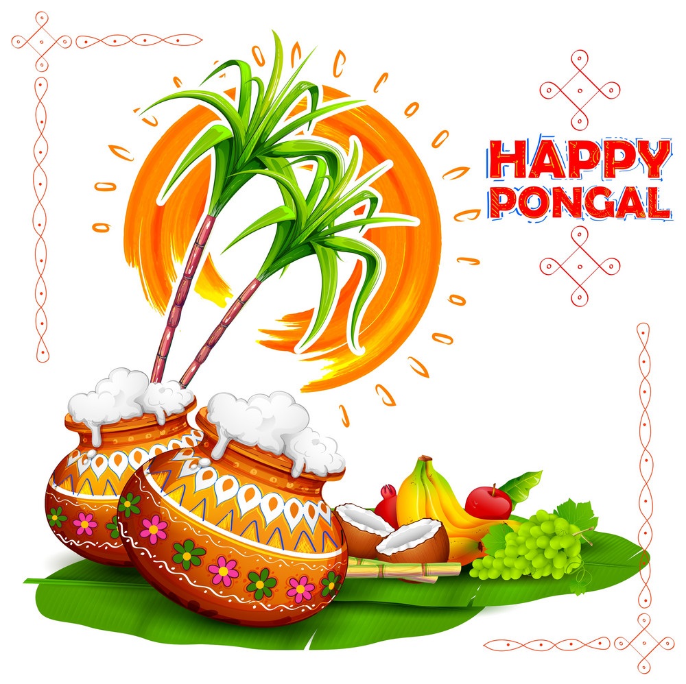 Pongal Wishes Images, Pongal Images Greetings, Pongal - Happy Pongal Images 2019 , HD Wallpaper & Backgrounds