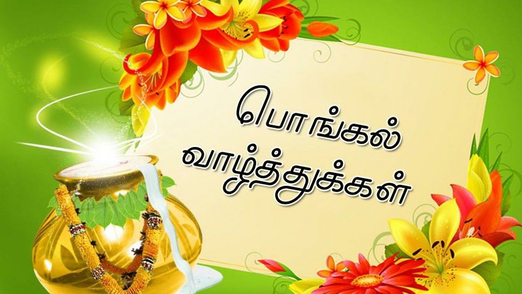 Best Tamil Happy Pongal Valthukkal Whatsapp Wallpaper - Pongal Wishes In Tamil 2019 , HD Wallpaper & Backgrounds