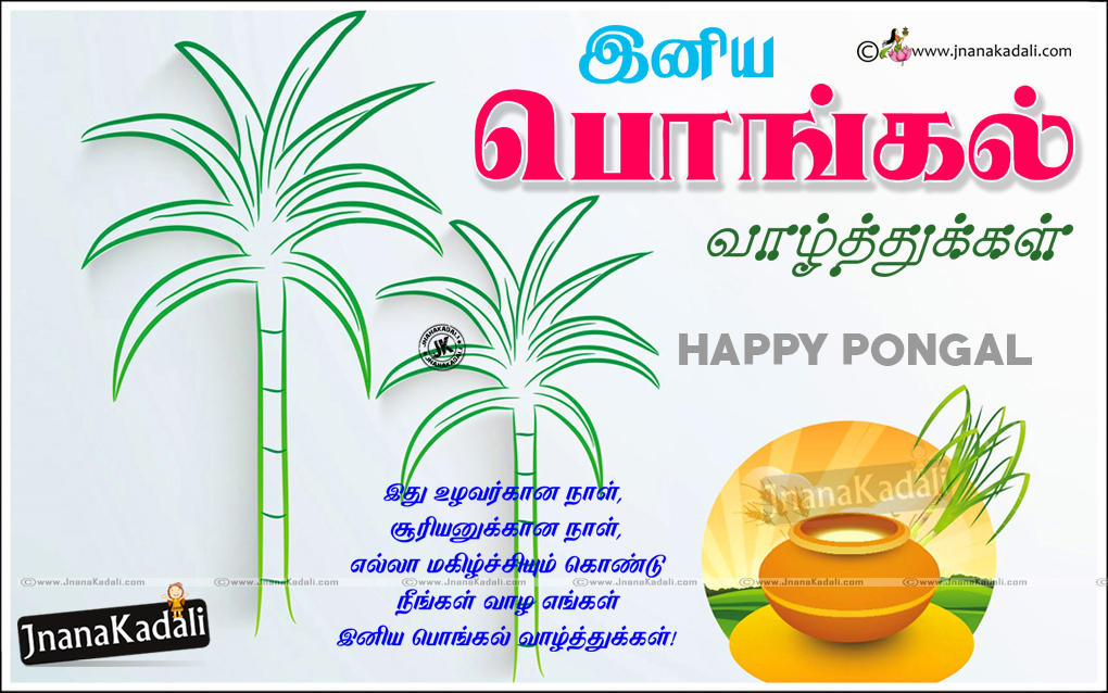 Essay On Pongal In Tamil Words All Essay - Pongal Valthukkal Tamil , HD Wallpaper & Backgrounds