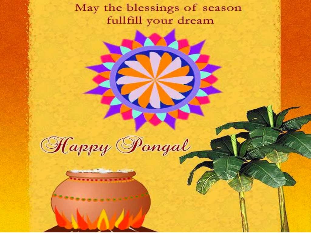 Happy Pongal Greetings Hd Free Download - Pongal Wishes Images Free Download , HD Wallpaper & Backgrounds