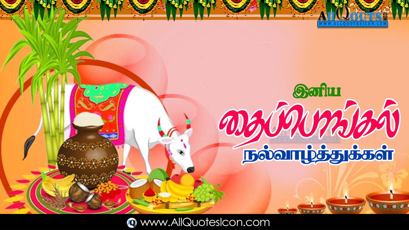 Sankranti Thai Pongal Wishes In Tamil Sankranti Thai - Happy Thai Pongal , HD Wallpaper & Backgrounds