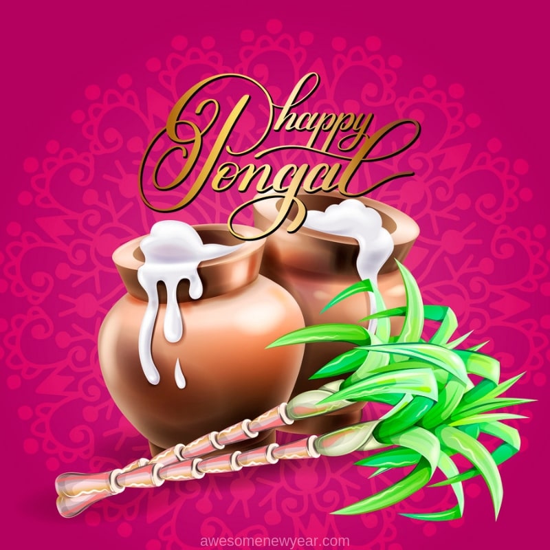 Pongal 2019 Images - Happy Pongal Images 2019 , HD Wallpaper & Backgrounds