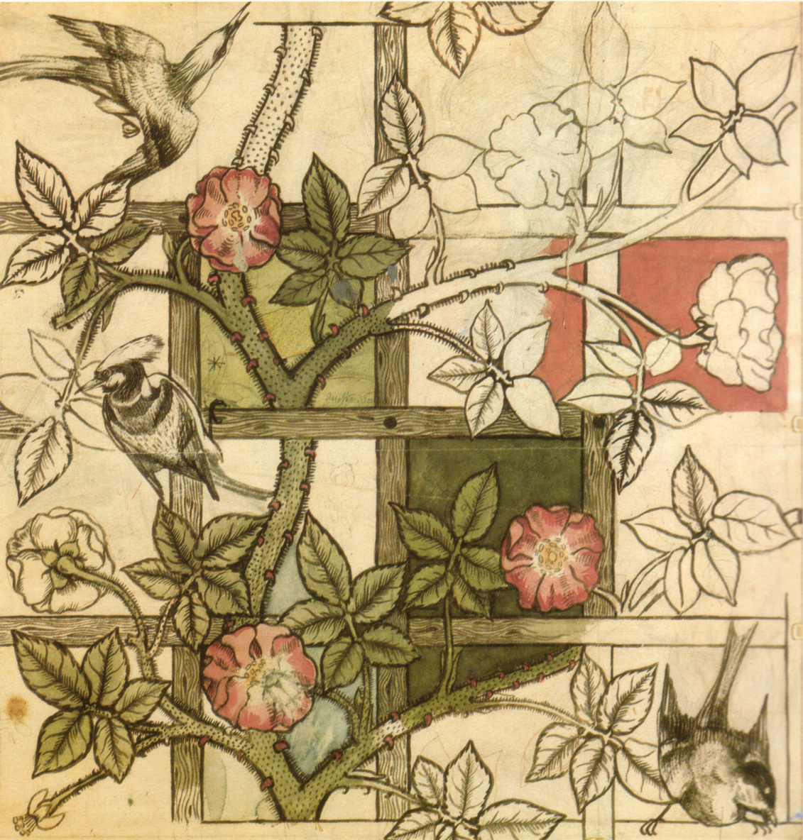 Trellis Wallpaper William Morris , HD Wallpaper & Backgrounds