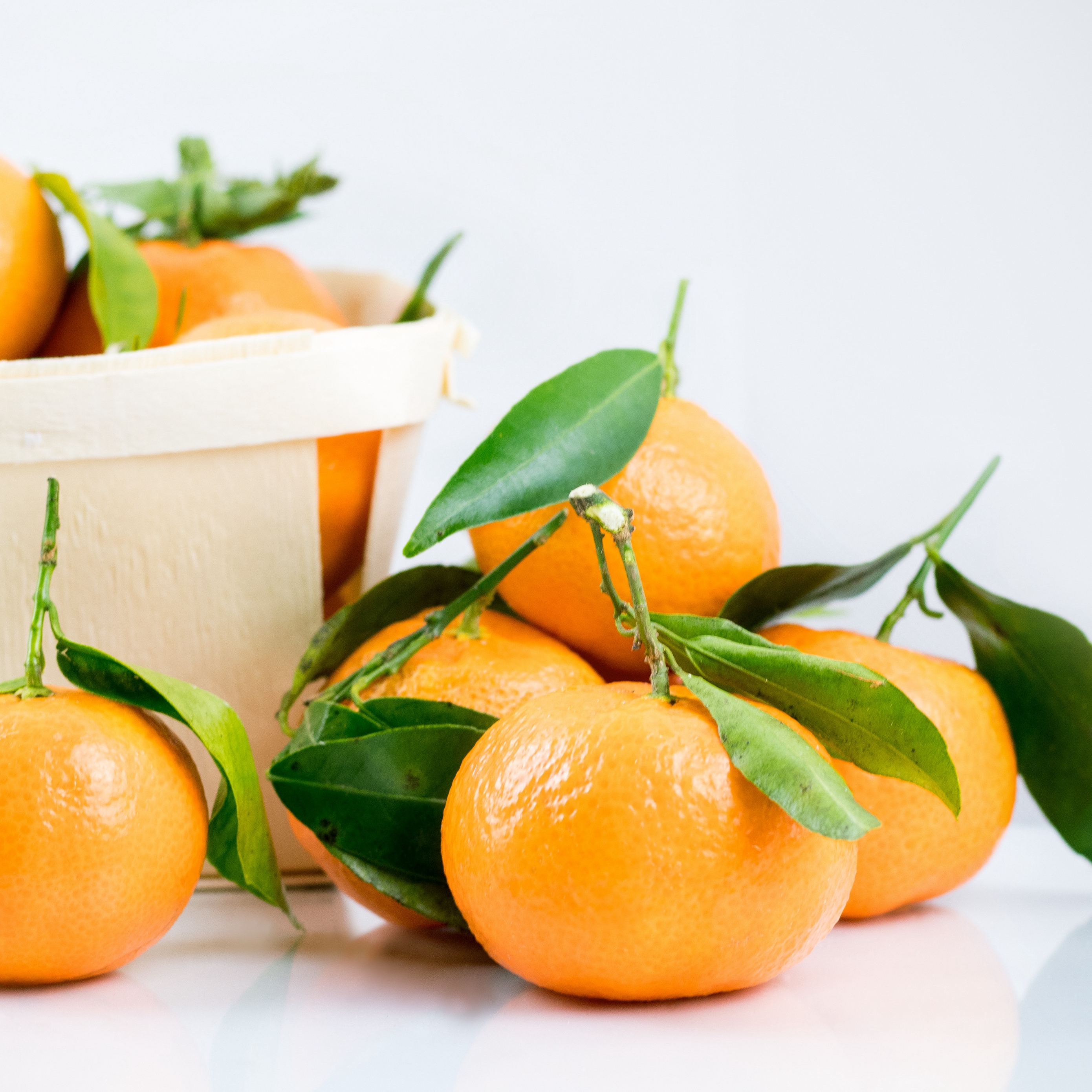 Wallpaper Mandarins, Clementines, Citrus - 제주도 귤 , HD Wallpaper & Backgrounds