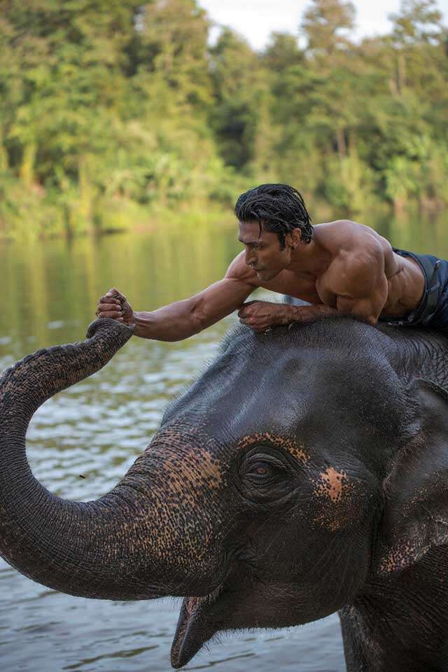 Exclusive Pic Of Vidyut Jammwal From Junglee, On World - Martial Arts Vidyut Jamwal , HD Wallpaper & Backgrounds